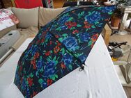 Regenschirm Automatikschirm - Kolkwitz