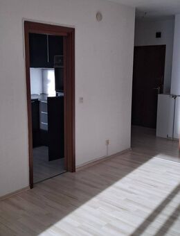 Singlewohnung mit großer Terrasse - Nürnberg