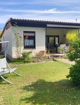 Ferienhaus am Malchiner See mit modernem Pelletofen und überdachter Terrasse.... - Basedow (Mecklenburg-Vorpommern)