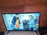 DYON Fernseher Smart Tv 32 zoll - Wadersloh