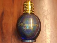 Taylor Swift Wonderstruck - Herne