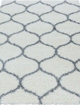 Ayyildiz Teppiche Hochflor-Teppich SALSA 3201, rechteckig, Höhe: 50 mm, auch in rund, Pflegeleicht / Strapazierfähig / Shaggy/ Wohnzimmer