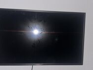 Sharp Fernseher zu verkaufen - Kabelsketal