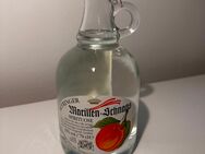 Marillen-Schnaps Syringer 35% - Hamburg