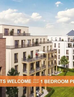 "WILHELMS IX" ::: 2-ZI-DACHGESCHOSS-WHG ::: US TENANT WELCOME - Wiesbaden