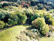 Waldgrundstück auf der Insel Rügen - Sagard