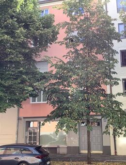 2-Zimmer-Altbauwohnung, 80 m2, München-Sendling, Nähe Harras - München