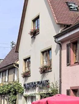 Vollausgestattetes Apartment - 1 Zimmer mit Küche und Bad - Vogtsburg (Kaiserstuhl)