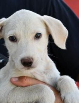 Agostina wünscht sich ein besseres Leben - Neuss