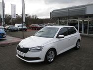 Skoda Fabia, 1.0 TSI Cool Plus - 1, Jahr 2021 - Heideck