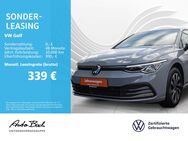 VW Golf, 1.5 VIII eTSI "ACTIVE", Jahr 2023 - Weilburg