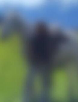 App*** - Kempten (Allgäu)