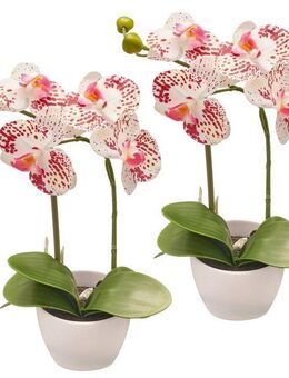 Kunstorchidee Orchidee Phalaenopsis, Creativ green, Höhe 33 cm, im Design-Topf