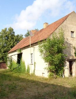 Spreewald - großes Grundstück in feinster Lage mit altem Haus! - Schlepzig
