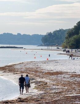 Sonne, Segel, Ostseeflair - Ihr Rückzugsort am Meer. 1,5-Zimmer Appartement in Schilksee - Kiel