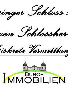 ältestes Wasserschloss im Landkreis Thüringen sucht neuen Schlossherrn - Altenburg