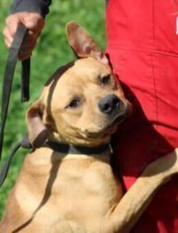 Jana - sehr liebenswert u. unkompliziert - Lohra