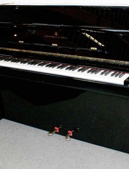 Klavier Steinway & Sons Z-114, schwarz poliert, Nr. 465382, 5 Jahre Garantie - Egestorf