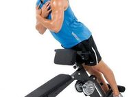 Finnlo by Hammer Ganzkörpertrainer AB & Back Trainer