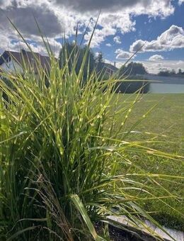 RESERVIERT!!! Exclusives freistehendes 1-Fam.-Haus in gehobener, sonniger und sehr ruhiger Lage. RESERVIERT!!!!! - Niedereschach