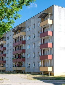 Hier den Ausblick genießen. - Prenzlau