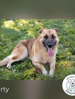 Marty sucht seine Menschen - Kirchzell