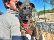 MASHA - die kleine Maus ist endlich frei - Regensburg