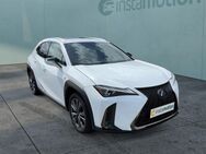 Lexus UX 250h, F-SPORT MARK LEVINSON, Jahr 2019 - München