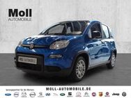 Fiat Panda, Mild Hybrid City Paket Bi-colore Blau Schwarz, Jahr 2024 - Köln