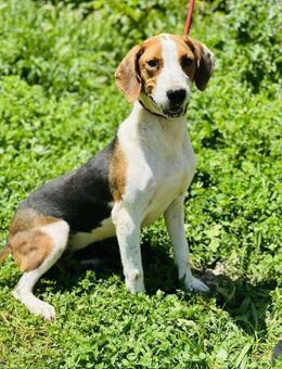 Glücksmädchen MiNERVA 🍀❤️ - Mylau