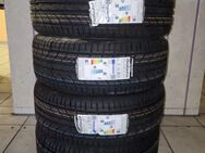 4x 205/55 R16 91V Premiorri Solazo Sommerreifen - Euskirchen Zentrum