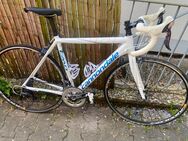 Cannondale CAAD 10 - Frankfurt (Main) Niedereschbach