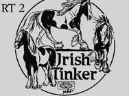 Irish Tinker Autoaufkleber - Ehrenkirchen
