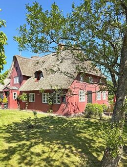 Individuelle Ferienwohnung mit klassischen friesischen Elementen - Borgsum