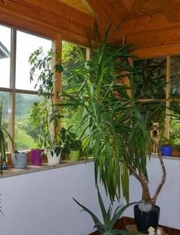 ***Wohlfühlwohnung mit EBK und Balkon sucht nette Mieter, die die Gartenarbeit lieben! *** - Riedenburg