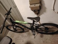 Verkaufe ein Fahrrad der Marke aqua - Kempten (Allgäu)