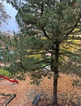 Attraktives Wohnen im Stadtteil Erle!! - Gelsenkirchen