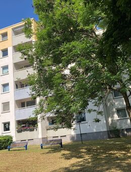 SENIORENWOHNUNG (60+) am Main - Flörsheim (Main)