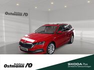 Skoda Octavia, 1.5 TSI Combi, Jahr 2021 - Niestetal