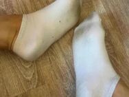 Fetisch gut duftende getragene dreckige Socken Strümpfe Strumpfhosen Nylons - Frankfurt (Main) Innenstadt