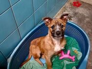PEPE 🩵 Weltentdecker sucht liebe Crew - Fahrenzhausen