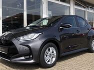 Toyota Yaris, Mazda2 Hybrid AGILE COMFORT SAFETYPAKET, Jahr 2022 - Waren (Müritz)