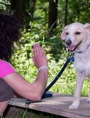 URI: Mitfahrgelegenheit gesucht in 6467