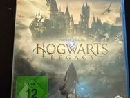 PS5 Spiel - Hogwarts Legacy - Jüterbog