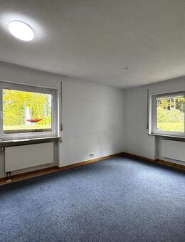 Preiswerte Wohnung im Untergeschoss mit Stellplatz und Kellerabstellraum in Isny im Allgäu - Isny (Allgäu)