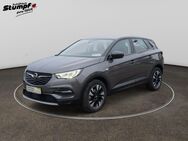 Opel Grandland X, 1.2 Elegance, Jahr 2021 - Heppenheim (Bergstraße)