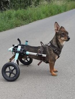 fröhliche, aktive KARA - Kallmünz
