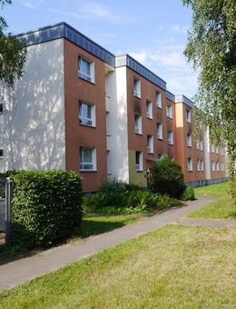 Schöne Wohnung: interessante 4-Zimmer-Wohnung - Seevetal