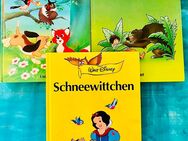 Buch Set Walt Disney Unipart - Dorfen
