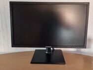 Samsung Monitor 24 Zoll - Top Zustand - Oberndorf (Neckar)